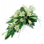 Longi Lily Tied Sheaf